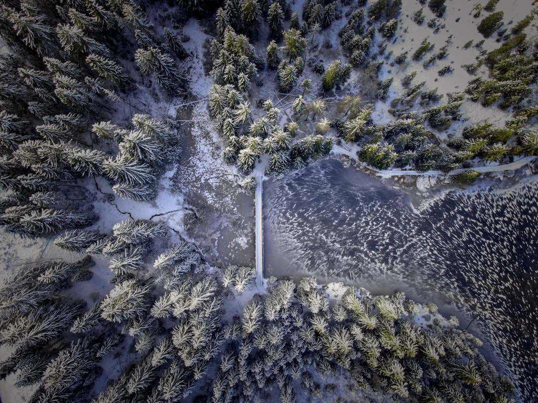 Aerial view of a snow covered forest with a lake and bridge in the style of drone photography. The scene shows trees covered in snow with a frozen lake in the foreground and a wooden bridge in the background. –ar 4:3