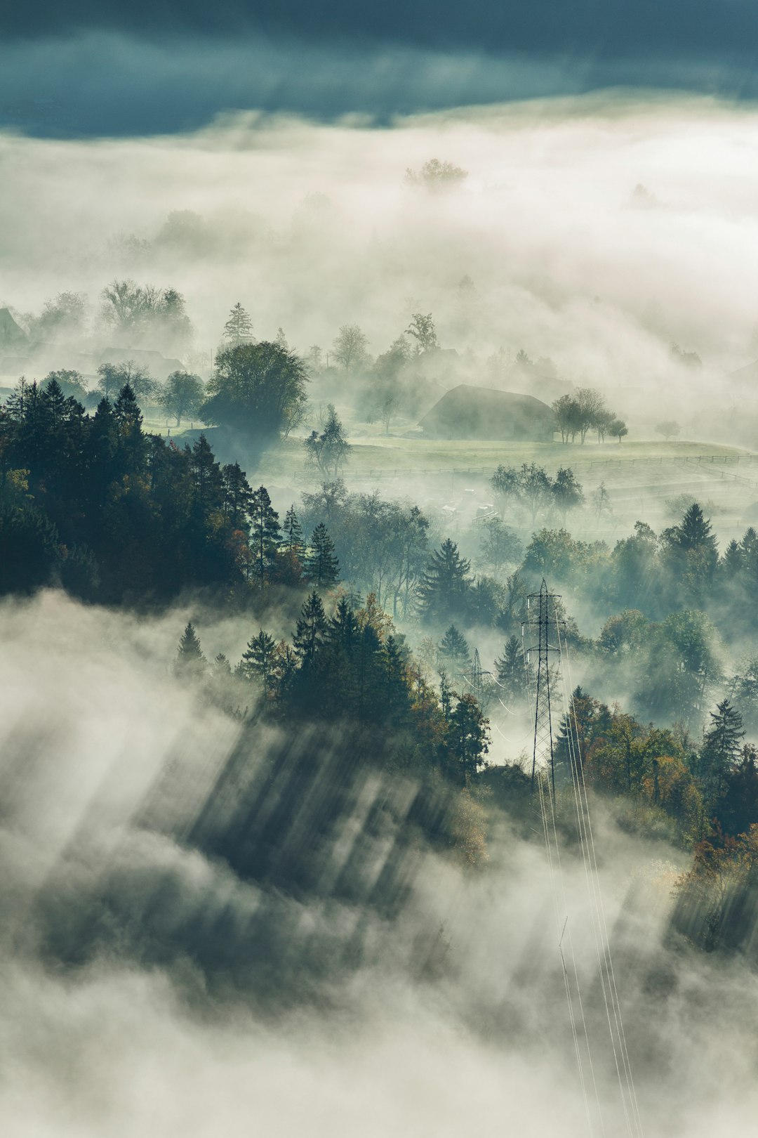 Beautiful misty landscape with trees and fog in the valley, forest aerial view, aerial photography, high contrast, dramatic lighting, sun rays through clouds, hyper realistic photography, beautiful, relaxing, peaceful. –ar 85:128