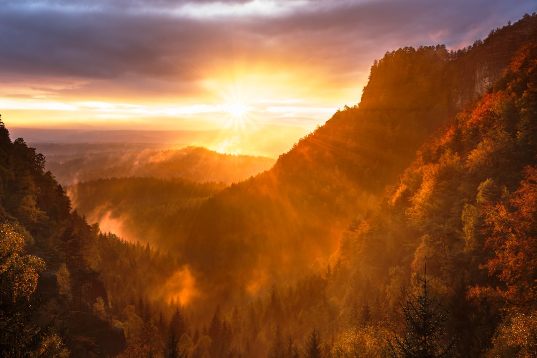 A stunning sunrise over the Elbe Sandstone Mountains, with mist rising from the valleys and colorful autumn foliage in full swing. The sun’s rays illuminate golden hues of orange, reds, yellows, casting long shadows on rugged mountain peaks. Shot in the style of Nikon D850 DSLR camera with an 24-70mm lens at f/3.6 aperture setting to capture detailing, depth, sunlight reflections and global illumination, HDR photography. –ar 128:85