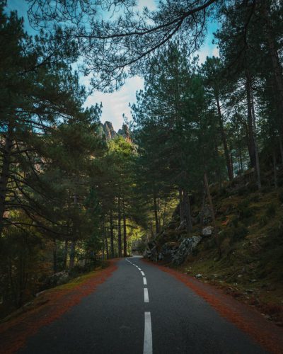 photo of the road in Spain, forest on both sides, rocks visible through the trees, wide angle shot, unsplash photography style, in the style of Unsplash --ar 51:64