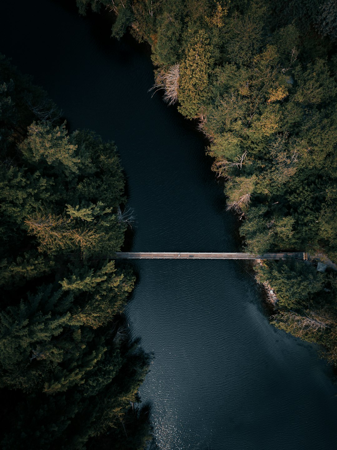 Aerial view of the bridge over lake in forest, nature photography, drone shot, minimalism, dark colors, moody, high resolution, hyper realistic –ar 3:4