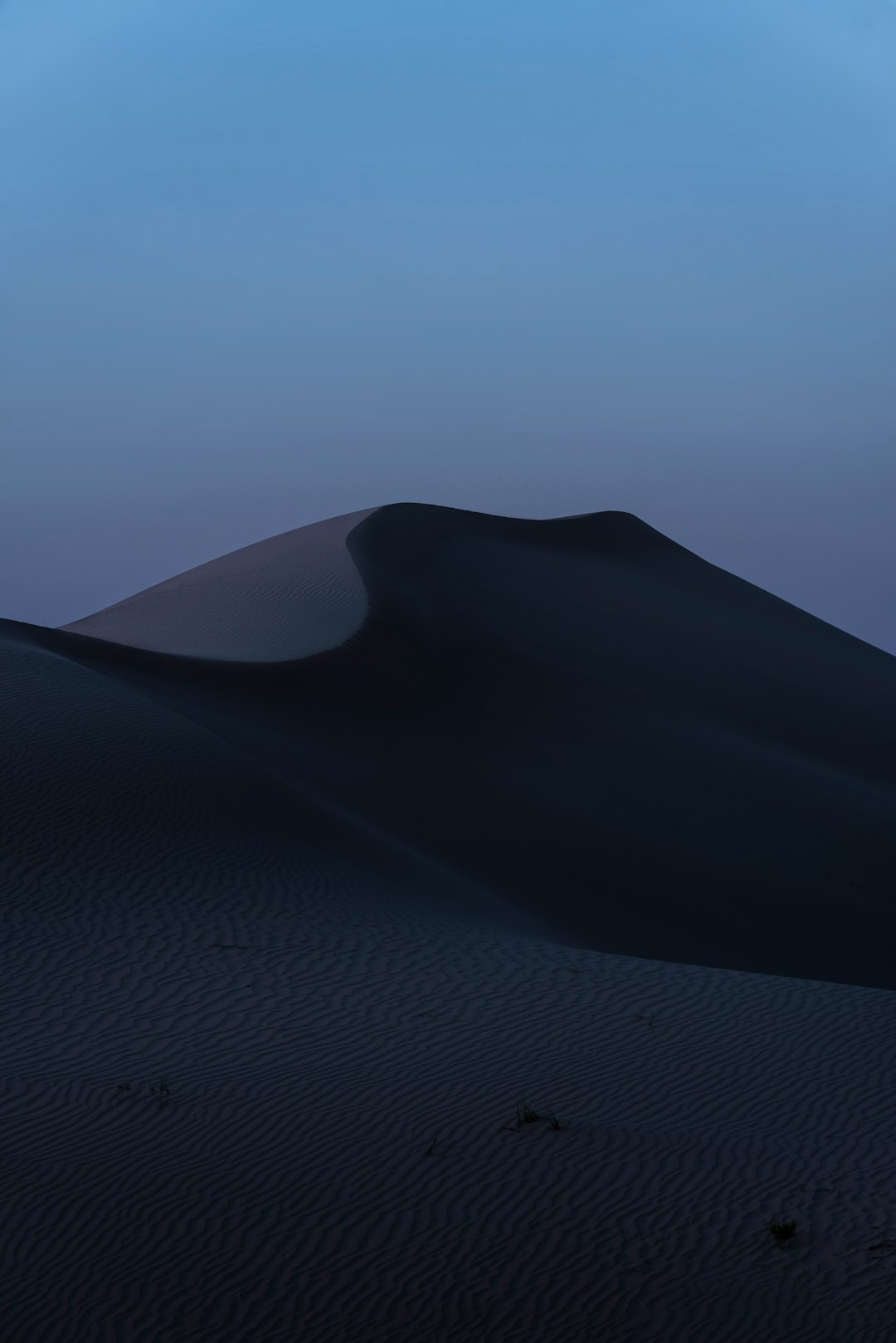 minimalist photo of sand dunes at dusk, the sky is a dark blue and the horizon is indigo, shot on a Sony Alpha A7 III with an f/8 aperture setting, capturing the tranquil mood of twilight in the desert landscape in the style of desert landscape. –ar 85:128