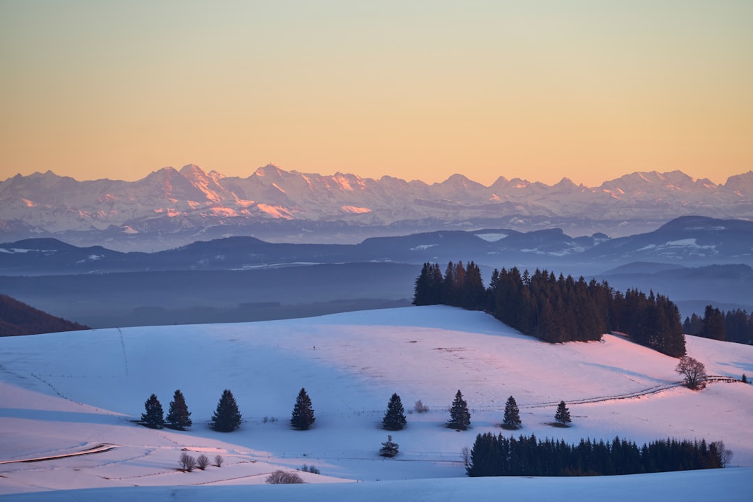 A view of the Alps in winter, with snowcovered hills and forested areas, mountains visible on the horizon, sunset lighting creating a serene landscape, shot with a Nikon D850 camera. –ar 128:85