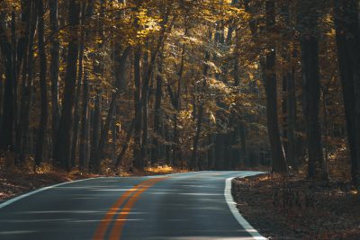 A winding road through the forest, with trees on both sides of it in autumn. The leaves have turned yellow and orange, creating an atmosphere full of mystery and tranquility. In front is a long curved line that leads to darkness. This photo was taken using a Canon EOS R5 camera and lens at f/28, showcasing high resolution and a cinematic style. --ar 128:85