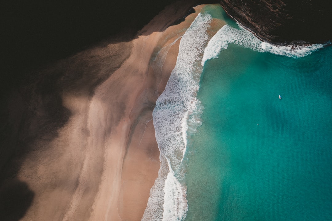 Aerial view of the beach, waves hitting the shore, a turquoise sea and golden sand, drone photography style, dark brown, bold colors, vibrant colorism, dark background, strong use of contrast, photographed in the style of [Peter Lindbergh](https://goo.gl/search?artist%20Peter%20Lindbergh). –ar 128:85