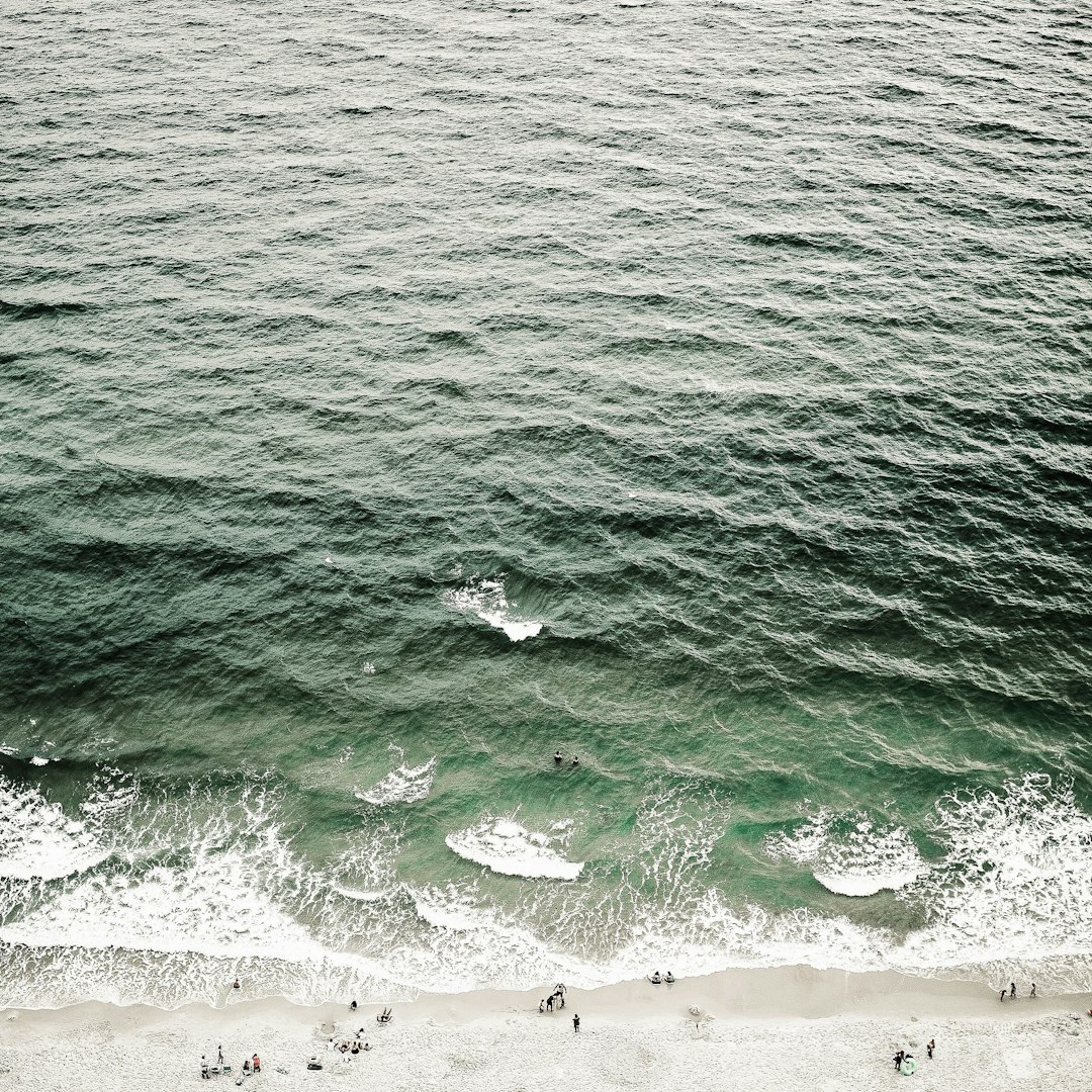 photo of ocean from above, waves with people swimming in the water, minimalist style, green and gray tones, natural light, calm atmosphere, bird’s eye view, wide lens perspective, people on the beach below.