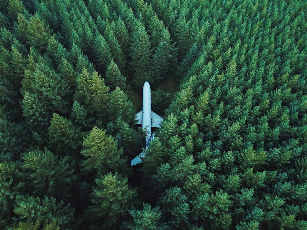 Aerial view of an airplane buried in a forest, with its tail visible above the trees. The scene captures the vast expanse of greenery and how it partially masks the aircraft’s presence. This aerial perspective adds depth to the subject while highlighting the contrast between nature and manmade objects. Shot on a Sony Alpha A7R IV, using a long exposure for a soft focus effect. –ar 4:3