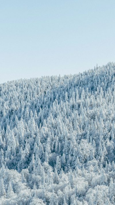 A large area of snow-covered forests at the top, snowcapped pine trees cover all areas of hills and mountains, white sky, shot from bottom to middle, minimalist style, photography of real scenery, high definition, high resolution, high detail, super quality in the style of minimalist. --ar 9:16