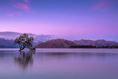 photograph of the famous tree in New Zealand, lake with mountains in the background, purple sky, long exposure --ar 128:85