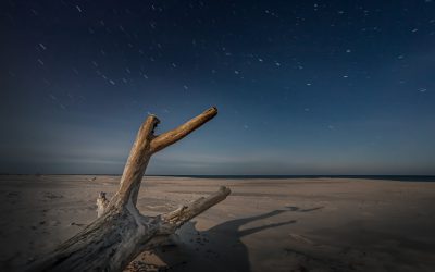 A fallen tree on the beach at night with stars in the sky, photographed in the style of Nikon D850 DSLR. --ar 8:5