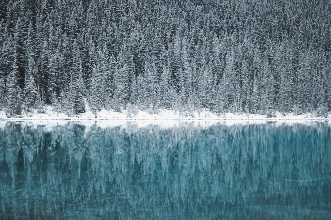 Abstract Winter Landscape Photography, Lake Louise in Canada with pine forest and snow covered trees reflecting on the water of the lake matching the blue color of the sky, minimalist photography, nature-inspired installations, cabincore, high resolution, nature inspired landscapes, forestpunk, winter, reflection in the style of nature. –ar 128:85