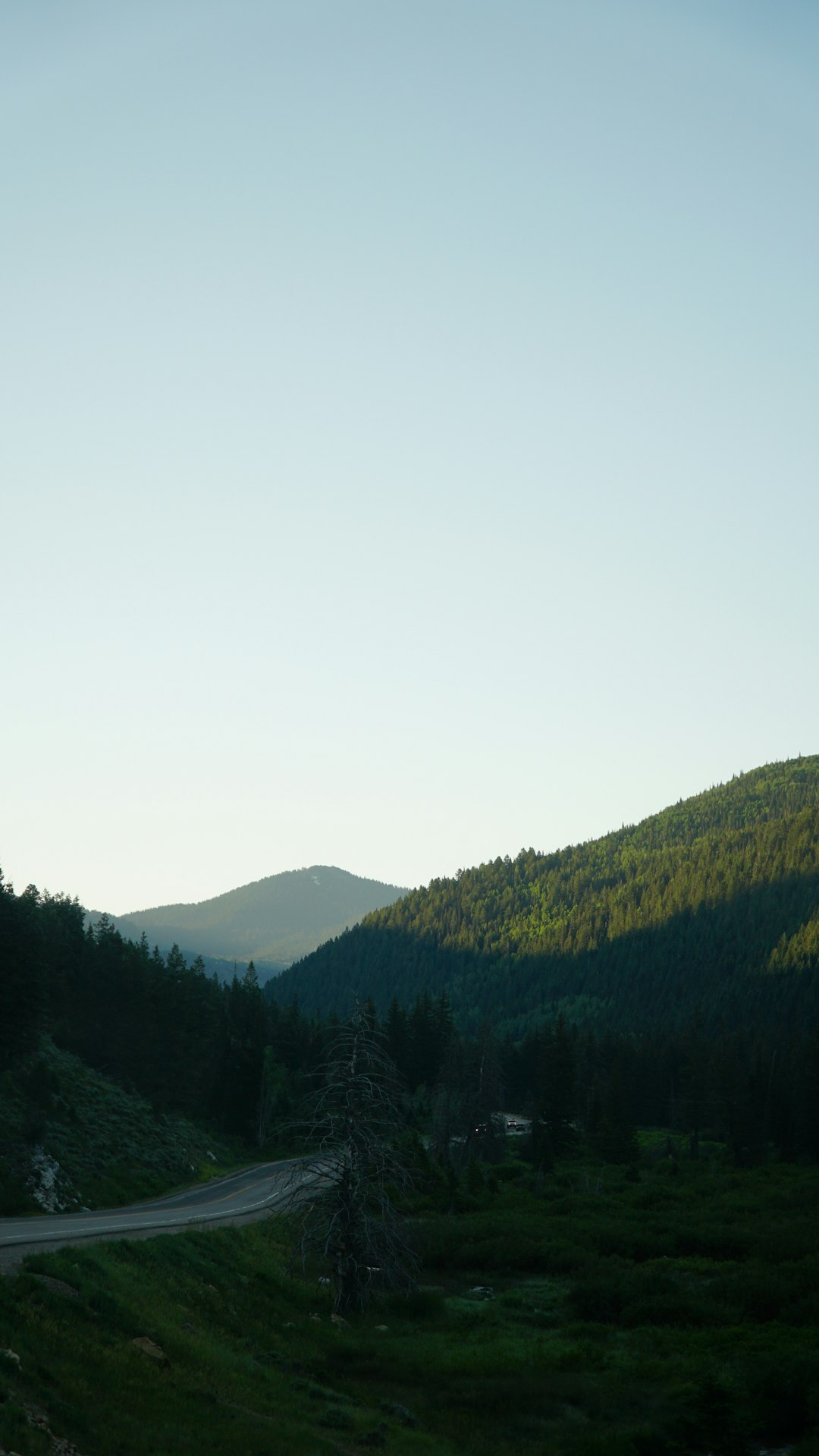 A photo of the mountain range with forest in the background, clear sky, road in the foreground, summer time, evening light, green and blue colors, taken in the style of Sony Alpha A7 III camera. –ar 9:16