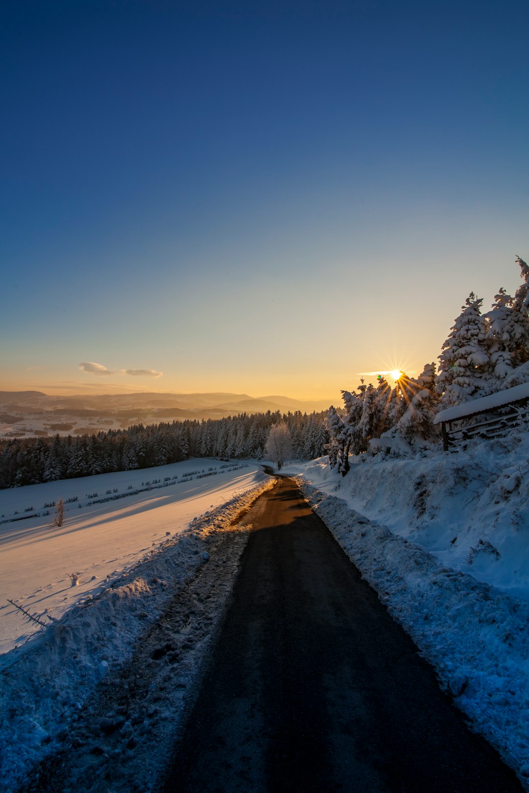 A winter landscape with snow covered trees and road, the sun is setting in a blue sky, a small path leading to the horizon, a view of the Scottish highlands in the background, captured with a Canon EOS R5 camera. –ar 85:128