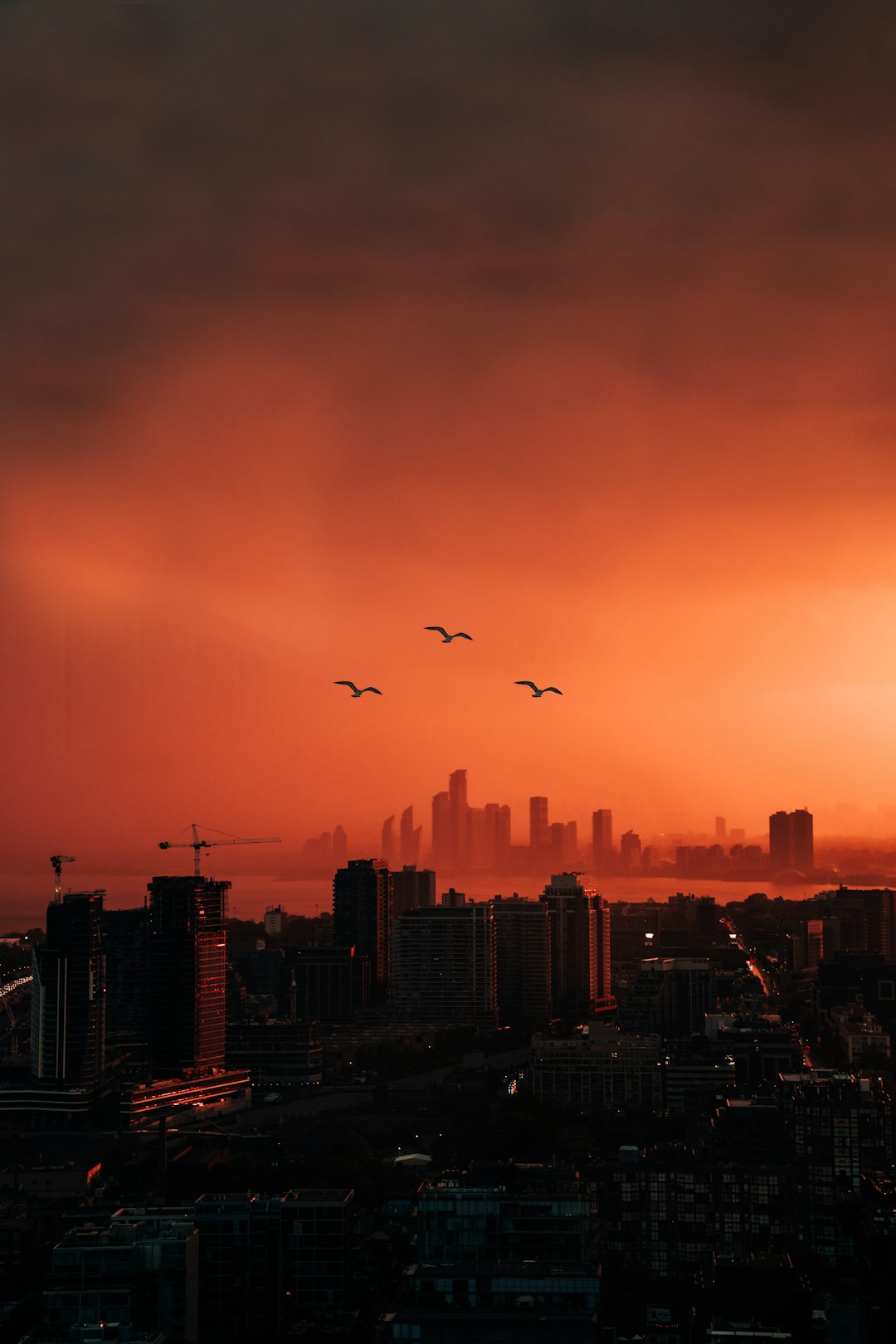 Cinematic cityscape photography of the skyline with flying birds at sunset, orange sky, overcast, high angle shot, wideangle lens, f/4, golden hour lighting, orange color theme, city lights in the background. –ar 85:128