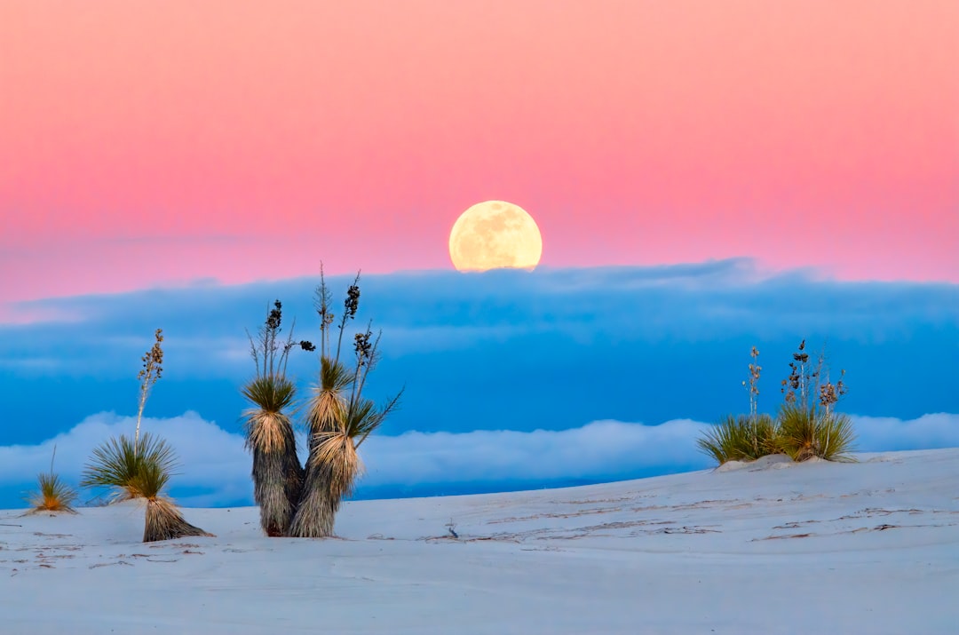 A full moon setting over white sand dunes, with the yucca plants and blue sky in front. The pink glow from sunset can be seen on top of clouds in the background. –ar 32:21