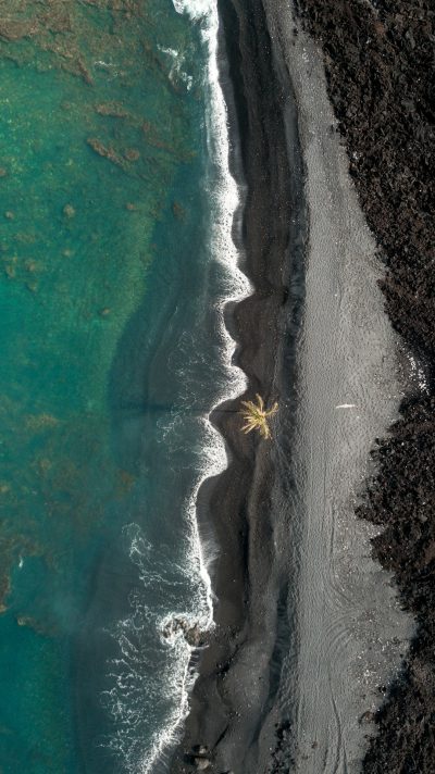 black sand beach aerial view, palm tree in the distance, turquoise water, black lava rock, drone photography, in the style of national geographic photo --ar 71:128