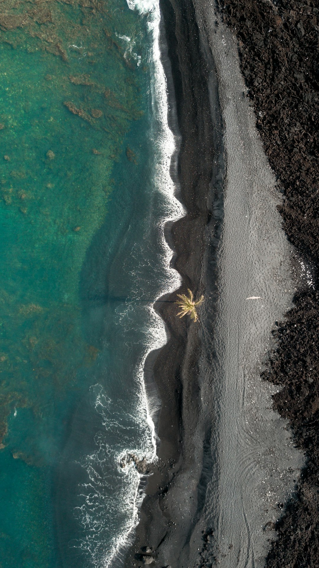 black sand beach aerial view, palm tree in the distance, turquoise water, black lava rock, drone photography, in the style of national geographic photo –ar 71:128