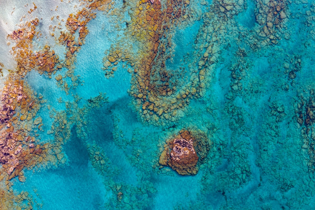 Aerial view of an ocean with rusty and colourful patterns, creating stunning natural beauty, remote control aerial photography, perspective drawing, high resolution, natural light, depth of field, sharp focus, daylight, natural colors, cinematic photograph, fantastic composition, highly detailed, beautiful colors, turquoise water, coral reef, white sand beach, –ar 128:85