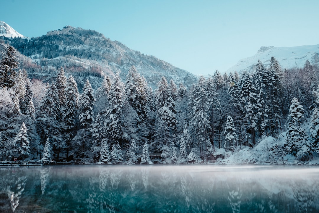 Beautiful winter landscape with snow-covered forest and lake in the mountains of Europe. In the style of LDear nature photography, stock photo, unsplash. –ar 128:85