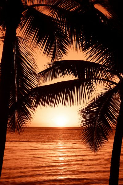 A silhouette of palm trees against the backdrop of an orange sunset over the ocean, capturing the beauty and tranquility of Hawaii's beaches. A tropical beach scene with palm leaves, a sunset, an orange sky, and golden light reflecting on the water creates a serene and peaceful atmosphere. --ar 85:128