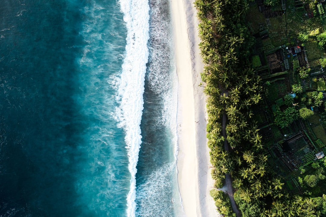 An aerial view of a white sandy beach and blue ocean, with waves breaking on the shore and palm trees. In the style of unsplash photography. –ar 128:85