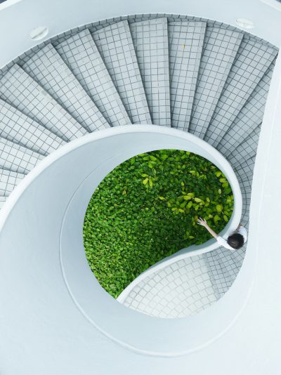 A spiral staircase with white stairs and green plants on the ground, bird's eye view of a grassy area in the center of the frame against a white circular grid background, soft natural light, high resolution photography with an aerial perspective, minimalist style in the style of a clean and simple composition, high quality with professional color grading and sharp focus, natural lighting from an overhead shot with no added contrast. --ar 95:128