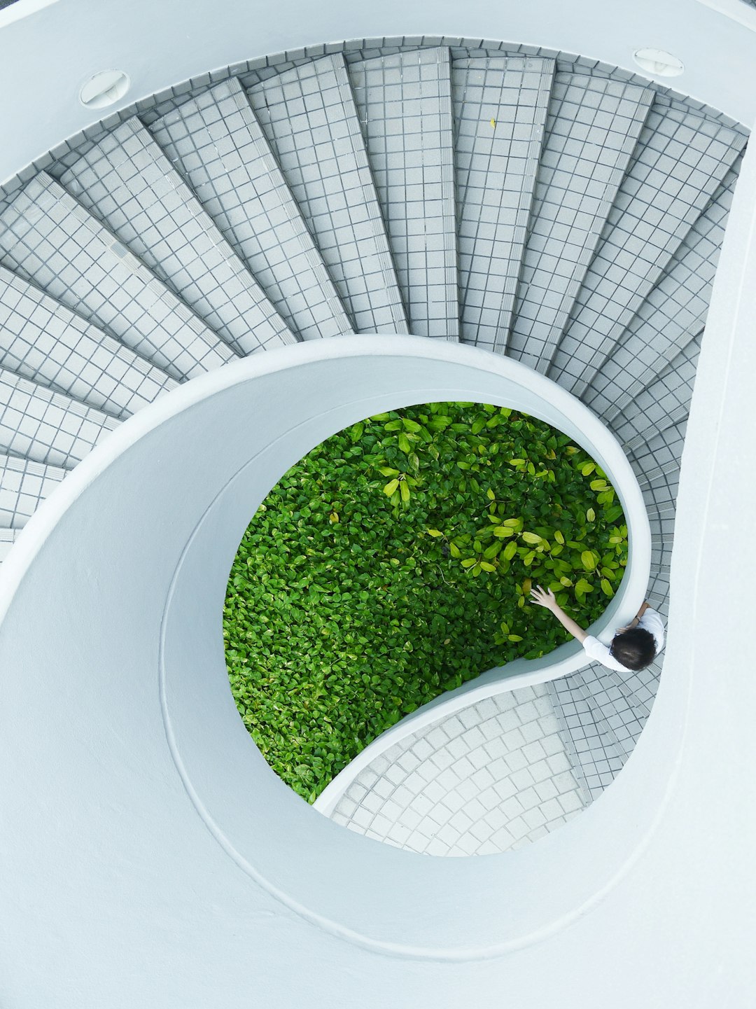 A spiral staircase with white stairs and green plants on the ground, bird’s eye view of a grassy area in the center of the frame against a white circular grid background, soft natural light, high resolution photography with an aerial perspective, minimalist style in the style of a clean and simple composition, high quality with professional color grading and sharp focus, natural lighting from an overhead shot with no added contrast. –ar 95:128