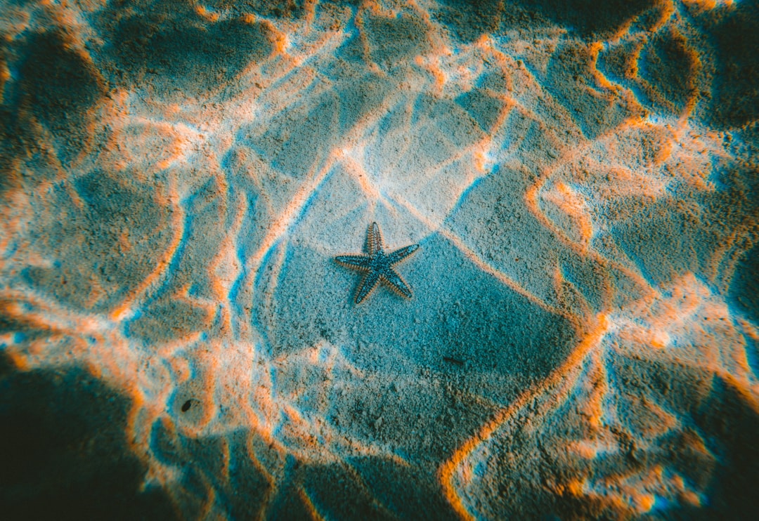 A top-down view of an underwater sand floor with a single starfish, captured in the style of National Geographic photograph. The starfish is centered on the sandy surface and illuminated by natural light filtering through water above. There is a sense of depth to the scene as the camera zooms down from a high angle. This shot would be perfect for creating a tranquil oceanic atmosphere or showcasing marine life. –ar 16:11