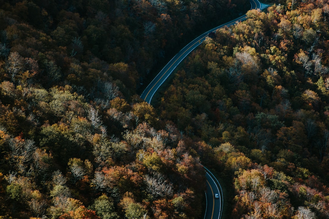 Aerial view of the Blue Ridge Mountains in autumn with a winding road and a car driving through the forest, a photography shot on a Canon EOS R5 at F2, ISO400 resolution3879 in the style of Canon EOS R5. –ar 128:85