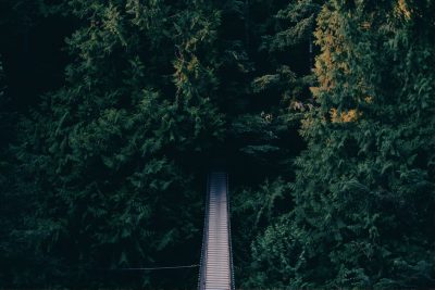 A long wooden bridge in the dense forest, dark green trees on both sides, top view, minimalism, real photography style, shot with a Sony A7 camera and Kodak Portra film stock in the style of Sony and Kodak. --ar 128:85