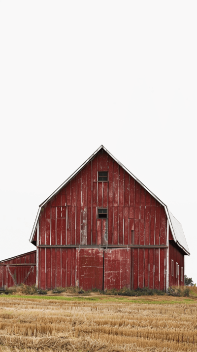 A simple, flat red barn with no other elements in the background, set against an empty white sky. The texture of weathered wood and metal is clearly visible on its exterior walls. A single window or door can be seen at one end, adding to the rustic charm. In front of it lies fields covered by dry grasses, suggesting that farmers have just finished their harvest season. This composition creates a peaceful rural scene with minimalistic design.