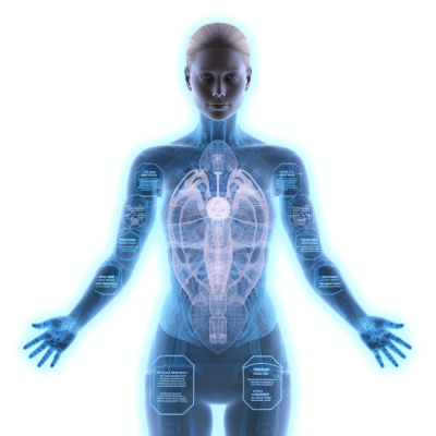 A full body female avatar with an X-ray scan of the chest and torso, highlighting her heart in blue color on a white background. The girl has open arms and hands spread wide, showing their fingers, creating a visually appealing composition that emphasizes both human anatomy and digital technology. Her skin is transparent, allowing for clear visibility of internal structures like organic components such as azure colored circles around each apple-shaped navel and also multiple small dark dots near the head and neck area. The style emphasizes human anatomy in the style of digital technology.