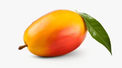 Mango on a white background, isolated with a clipping path. Fruits and nature concept. A realistic photo of a mango with a leaf. Design element for a banner or poster. Isolated on a pastel background.