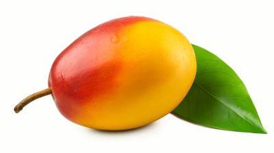 Mango with leaf isolated on white background. With clipping path and professional color grading for a soft, realistic photographic style. Suitable for editorial magazine cover illustration in the style of [Artgerm](https://goo.gl/search?artist%20Artgerm) with minimal shadows and contrast.