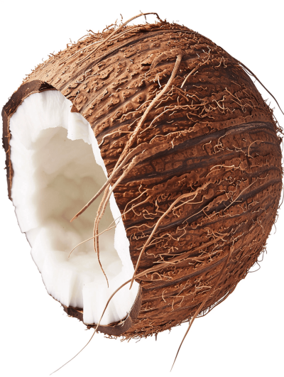 S grade coconut, cut in half, white background, high resolution photography, insanely detailed, fine details, stock photo, professional color grading, hyper realistic, super clean sharp focus