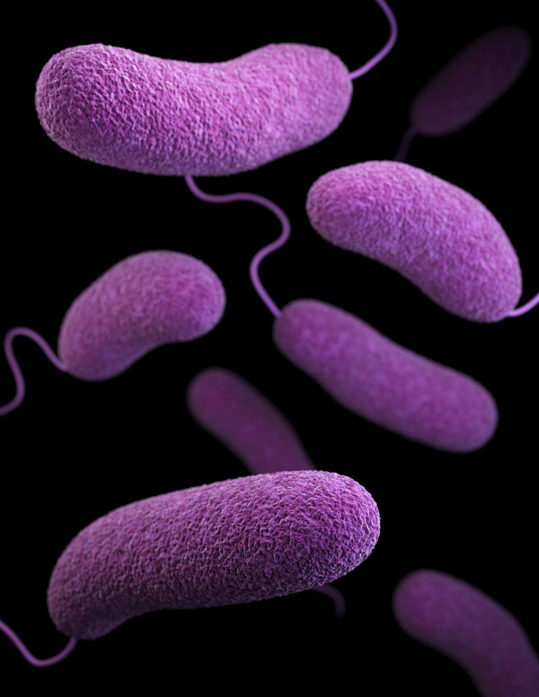 3d render of purple bacteria on black background, highly detailed