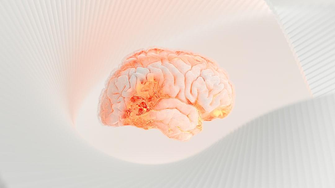 3D render of a brain floating in a white background, with a pink and orange color scheme, minimalistic, hyper realistic in the style of product photography, high resolution, high definition, sharp focus, intricate details, octane rendering in the style of Unreal Engine 5, bright cinematic lighting.