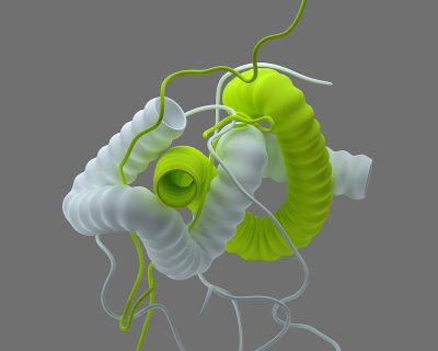 3d render of a green and white worm, with an internal structure that looks like tubeshaped tubes, floating in the air, grey background, blender style