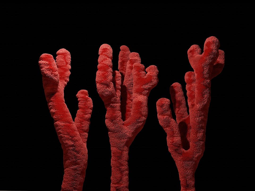 three red hands made of coral, black background, hyper realistic photography