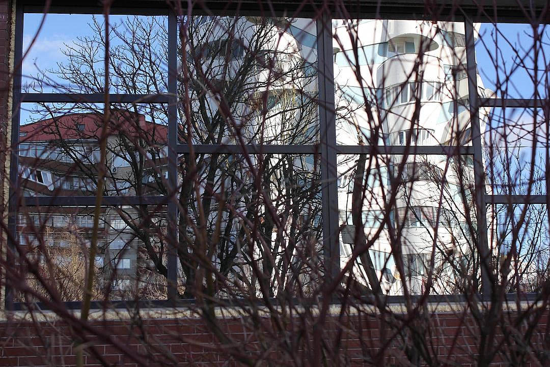 view of the hospital tower from outside through window, branches in foreground, winter day, nikon d850