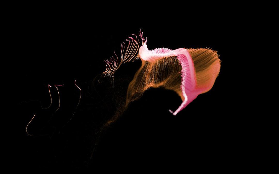 A single pink and white jellyfish floating in pitch black space, tentacles glowing softly against the darkness. The composition is from an overhead perspective, capturing just one creature in profile with its head tilted upwards towards camera. Soft lighting creates gentle shadows on its body, adding depth to the scene. This minimalistic photograph focuses on form over color, highlighting the ethereal beauty of these creatures. Shot by Karyn Bridge fluteau