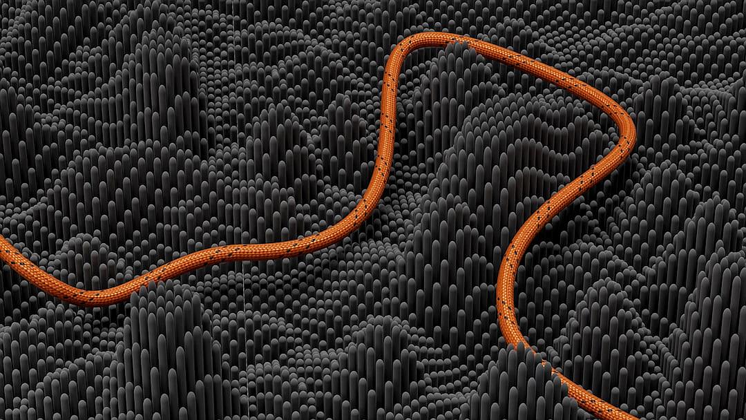 An aerial view of an orange line in the shape of a snake slithering through a black mystic organic pattern on a dark gray background. The image is made from thousands of tiny cubes in an isometric perspective.