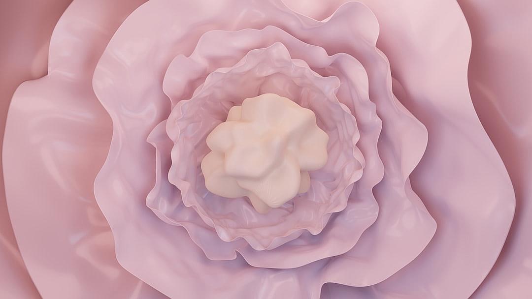 A close up of the center of an open pink flower on a white cream background. A 3D render of a soft pastel rose with petals in shades of pale lavender and blush pink, in the style of organic fluid lines and rounded forms with wavy edges. The image is high resolution, cinematic and centered with a top view perspective. The texture was sculpted in blender and rendered in cinema4D.