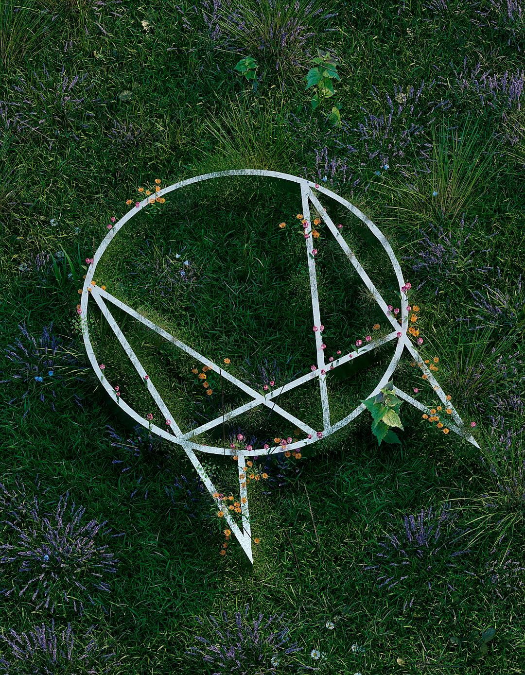 white pentagram on grass, flowers growing in the shape of an ornamental pentacle, aerial view, photo realistic, high resolution photography, photographed in the style of [Tim Walker](https://goo.gl/search?artist%20Tim%20Walker)