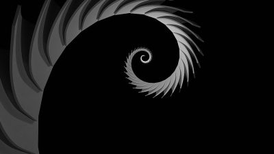 Spiral, vector graphic on a black background, simple shapes, monochrome, in the style of vector art, simple, minimalistic design, monochromatic palette of dark grey and white, high contrast, symmetrical composition, elegant.