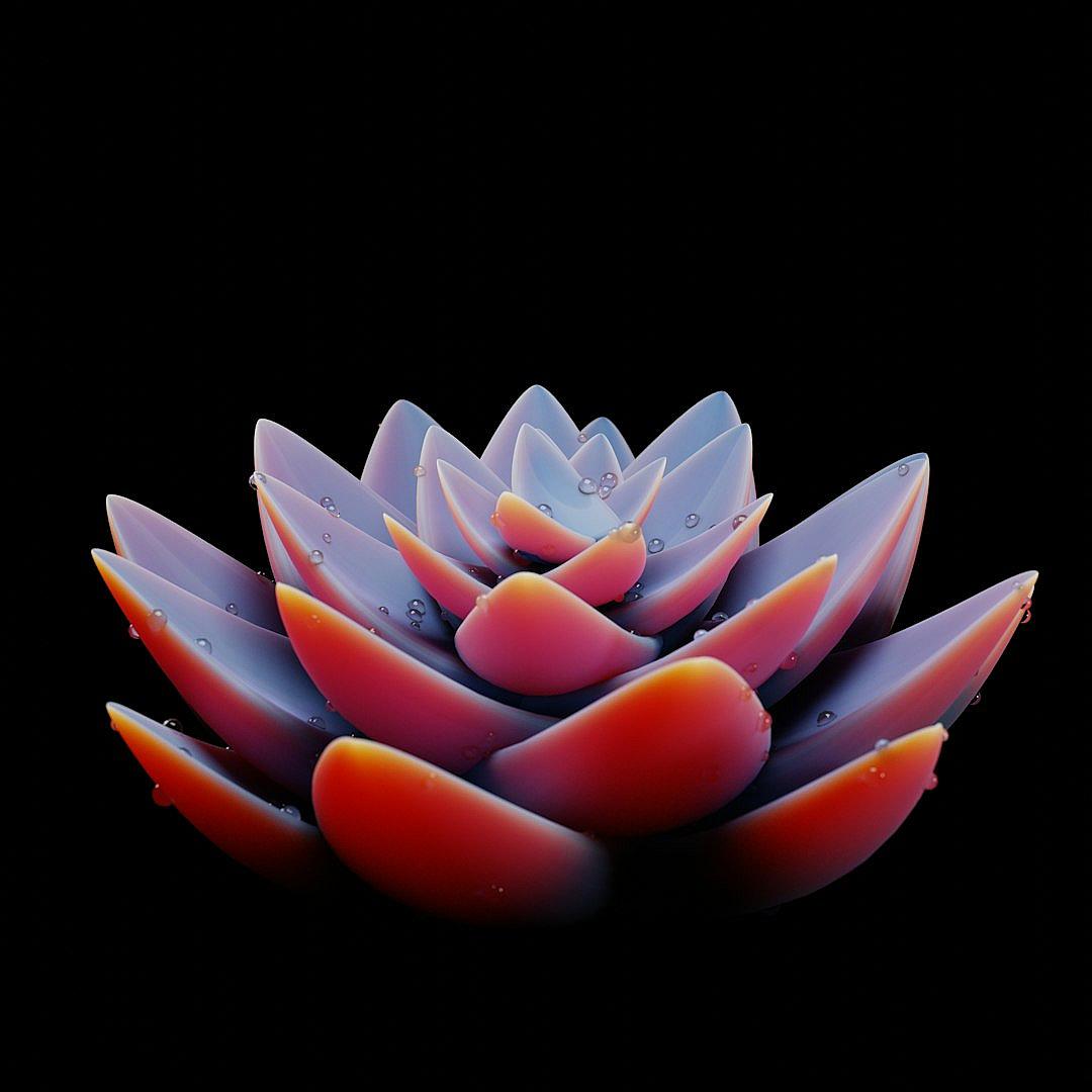 A beautiful succulent in the shape of an abstract lotus flower, against black background, macro photography, water drops on petals, gradient colors from light blue to dark red and orange, photorealistic, hyperdetailed, octane render, bright colors, sharp focus, studio lighting, professional color grading, clean sharp focus, shot with Hasselblad camera