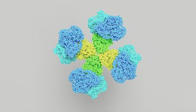 blue, green and yellow 3d model of protein in the center on white background