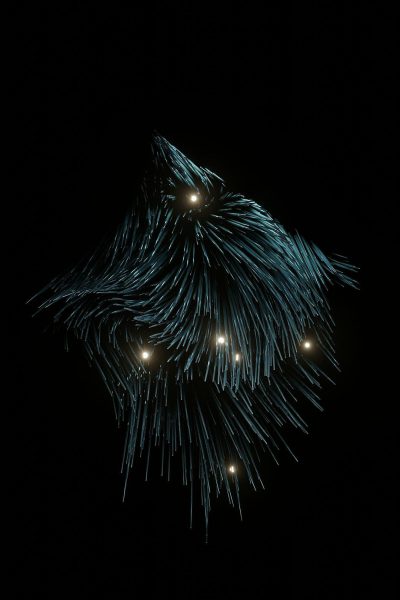 fireworks in the shape of an animal, black background, glowing lines, long exposure photography, minimalism, blue and white color scheme, detailed details, symmetrical composition, scifi style,