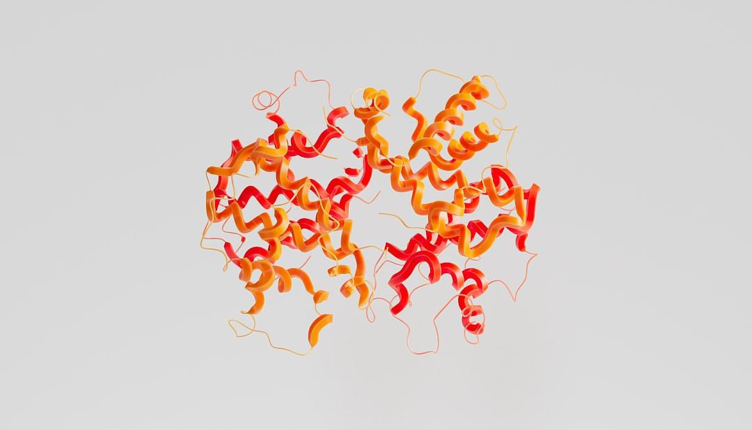 3d model of human protein structure, minimalistic, white background, red and orange color scheme, cartoon style, simple shapes, no shadows, low detail, octane render, blender, high resolution