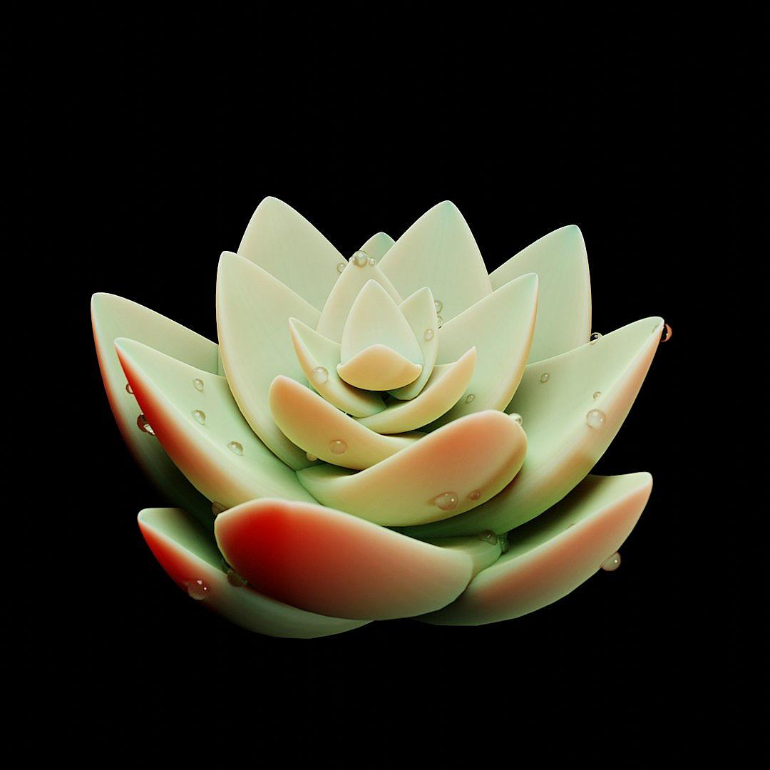 A single succulent flower made of matte plastic, the petals and leaves have an intricate design with soft edges, the overall color is light green with hints of red, placed on black background, product photography